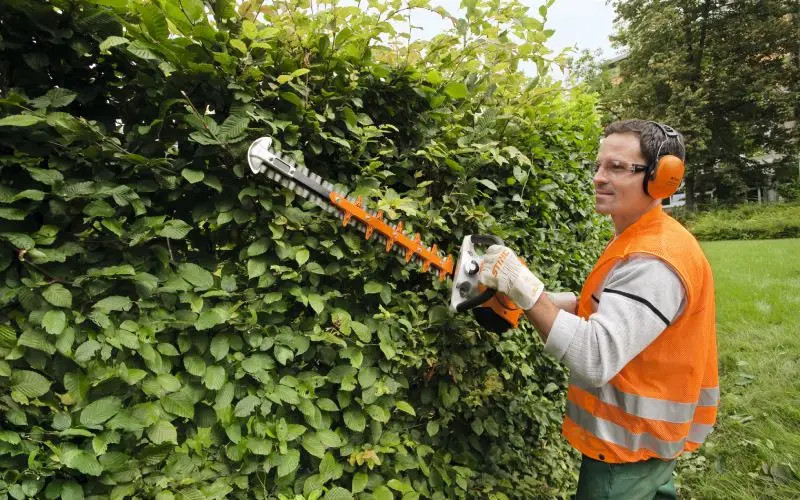 Άνδρας με ψαλίδι μπορντούρας STIHL κουρεύει φράχτη – Κατηγορία Φραχτοκόπτες